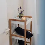 The Salnik Apartment