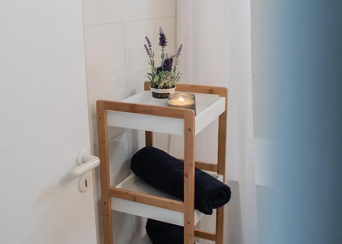 The Salnik Apartment